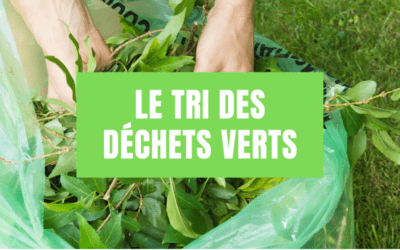 Comment trier correctement nos déchets verts en Région bruxelloise ?