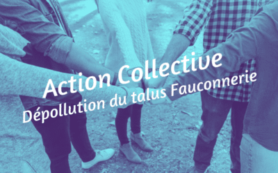 Action Propreté Collective dans le talus de l’Avenue de la Fauconnerie ! #2