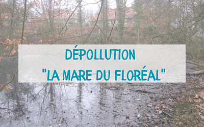 Les Marcottes ASBL – Dépollution de la zone semi-naturelle – « La Mare du Floréal » !