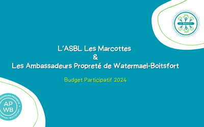 Budget Participatif Communal Édition 2024 – Projet Coup de Pouces !