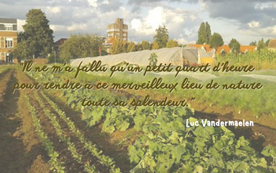 Lundi 26 juin, 196e jour.
