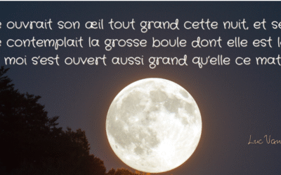 Jeudi 12 juin, 217e jour.